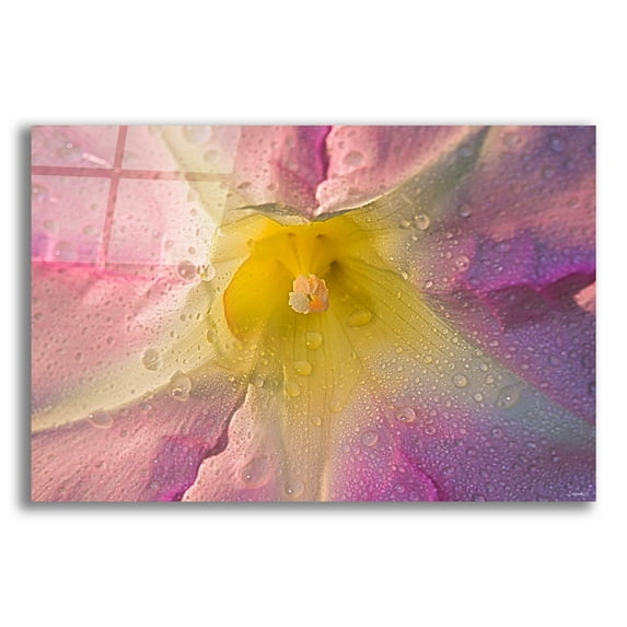 Epic Art 'Morning Mist' by Gordon Semmens, Acrylic Glass Wall Art, 24"x16"