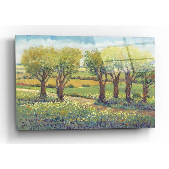 Epic Art 'Garden Path I' by Tim O'Toole, Acrylic Glass Wall Art, 16"x12"