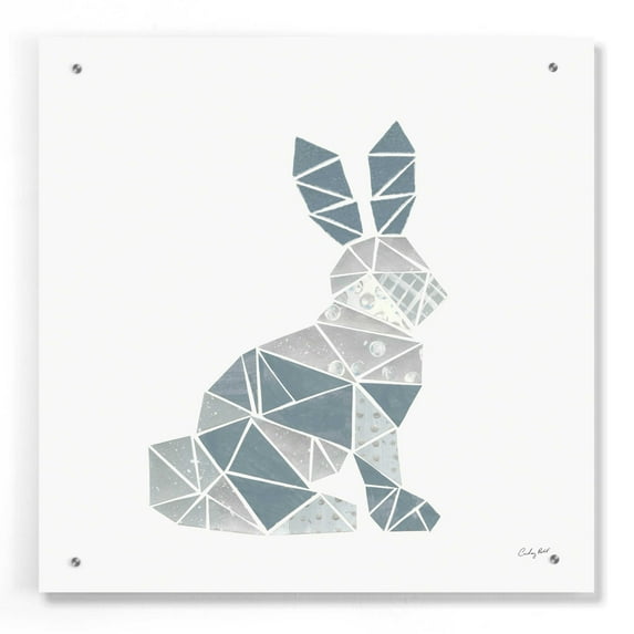 Epic Art 'Geometric Animal III' by Courtney Prahl, Acrylic Glass Wall Art, 24"x24"
