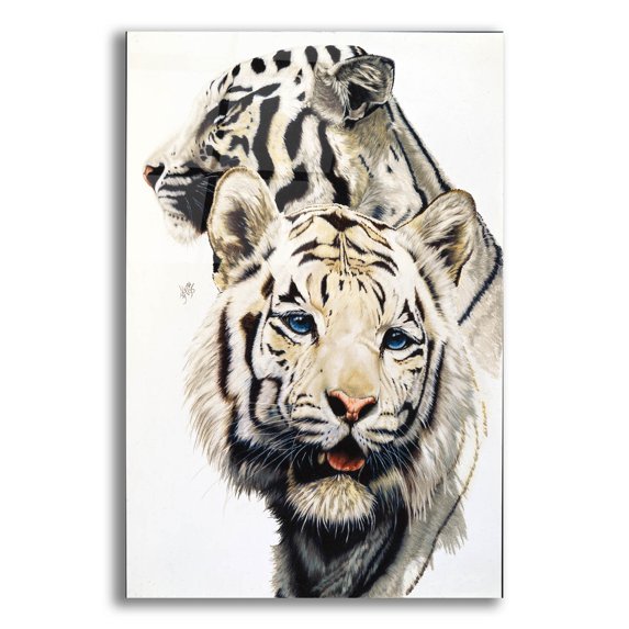 Epic Art 'Ghost' by Barbara Keith, Acrylic Glass Wall Art, 12"x16"