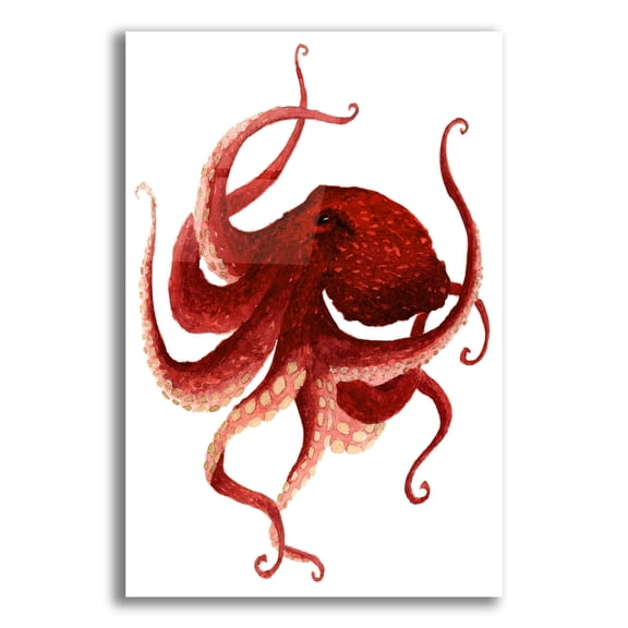 Epic Art ' Giant Pacific Octopus, Red' by Jeannine Saylor, Acrylic Glass Wall Art, 12"x16"