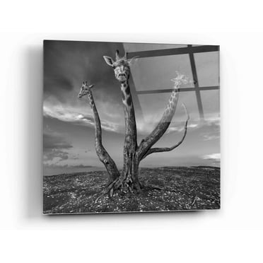 Epic Art 'Giratree' by Dariusz Klimczak, Acrylic Glass Wall Art, 12"x12"
