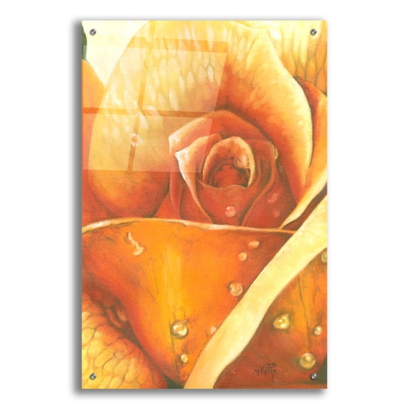 Epic Art 'Glimmer 2' by Barbara Keith, Acrylic Glass Wall Art, 24"x36"