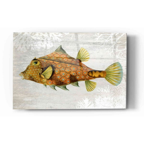 Epic Art 'Gold Turret Fish' by Fab Funky Acrylic Glass Wall Art, 12"x16"