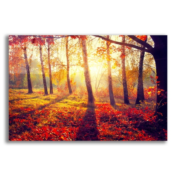 Epic Art 'Golden Afternoon,' Acrylic Glass Wall Art, 16"x12"