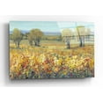 thumbnail image 1 of Epic Art 'Golden Fields II' by Tim O'Toole, Acrylic Glass Wall Art, 24"x16", 1 of 3