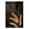 thumbnail image 1 of Epic Art 'Golden Grass I' by Lori Deiter Acrylic Glass Wall Art, 12"x16", 1 of 8