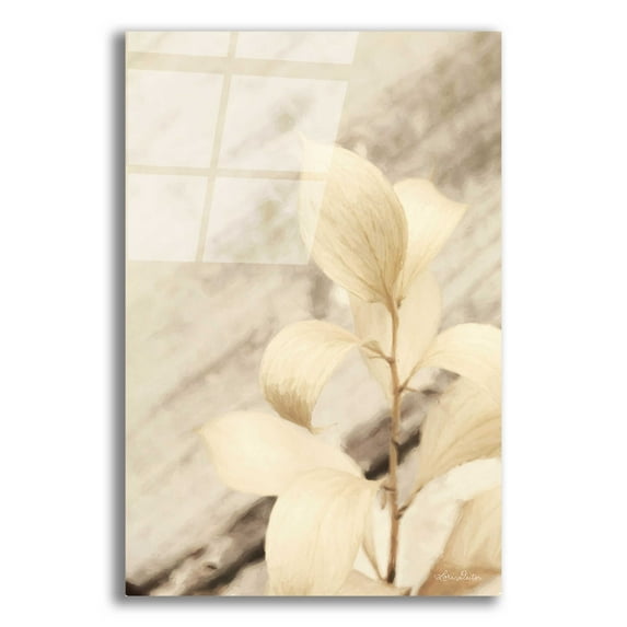 Epic Art 'Golden Leaves' by Lori Deiter Acrylic Glass Wall Art, 12"x16"