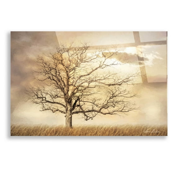 Epic Art 'Golden Tree' by Lori Deiter, Acrylic Glass Wall Art, 16"x12"