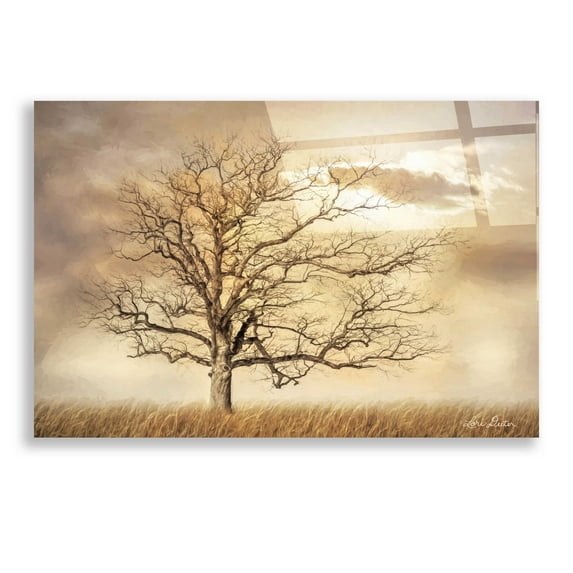 Epic Art 'Golden Tree' by Lori Deiter, Acrylic Glass Wall Art, 24"x16"
