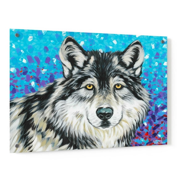 Epic Art 'Grey Wolf II' by Carolee Vitaletti, Acrylic Glass Wall Art, 36"x24"