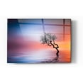 thumbnail image 1 of Epic Art "Growing Reflections" Acrylic Glass Wall Art, 16"x24", 1 of 11