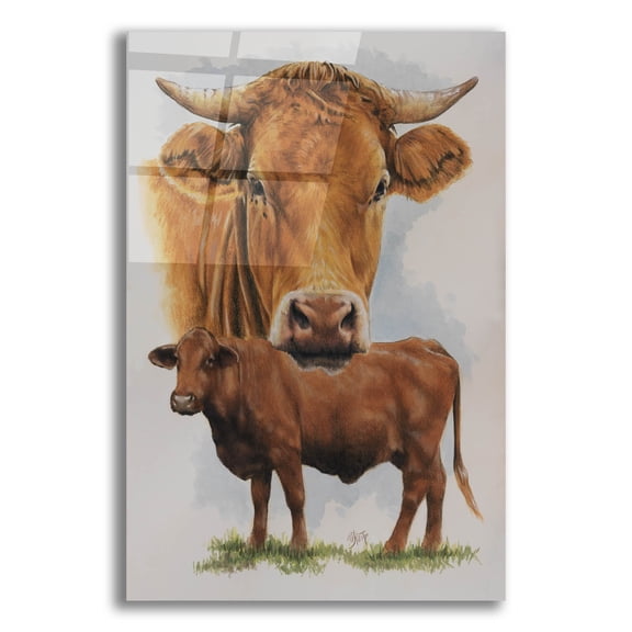 Epic Art 'Guernsey Cow' by Barbara Keith, Acrylic Glass Wall Art, 16"x24"