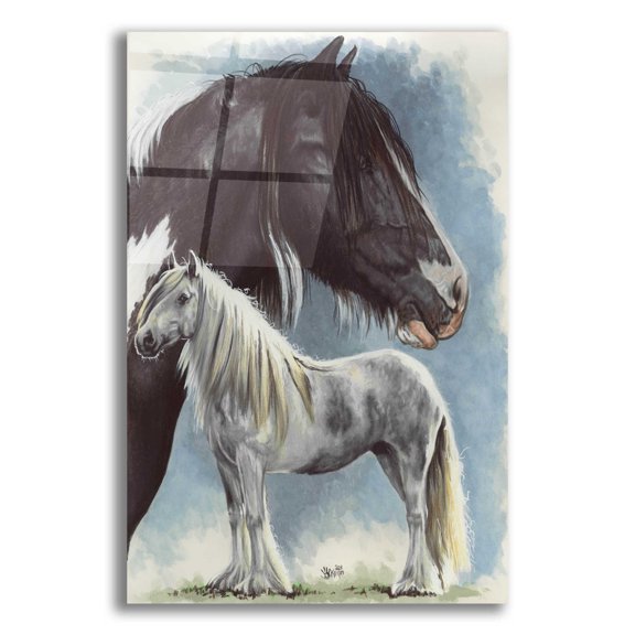 Epic Art 'Gypsy Cob' by Barbara Keith, Acrylic Glass Wall Art, 12"x16"