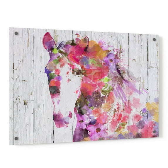 Epic Art 'Gypsy Soul' by Irena Orlov, Acrylic Glass Wall Art, 36"x24"