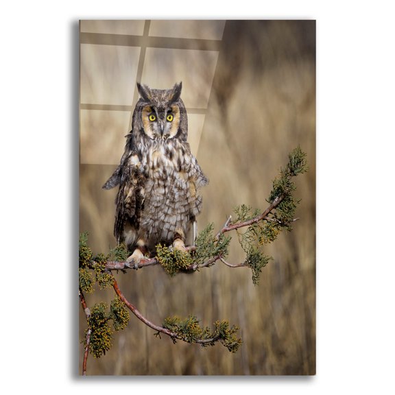 Epic Art 'Hanging Out' by Jonathan Ross, Acrylic Glass Wall Art, 12"x16"