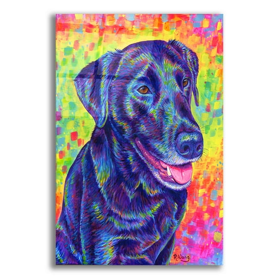 Epic Art 'Happy Go Lucky' by Rebecca Wang Art, Acrylic Glass Wall Art, 12"x16"