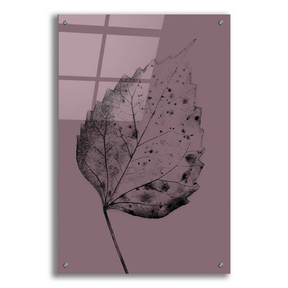 Epic Art 'Heaven on 3rd IV' by Incado, Acrylic Glass Wall Art, 24"x36"