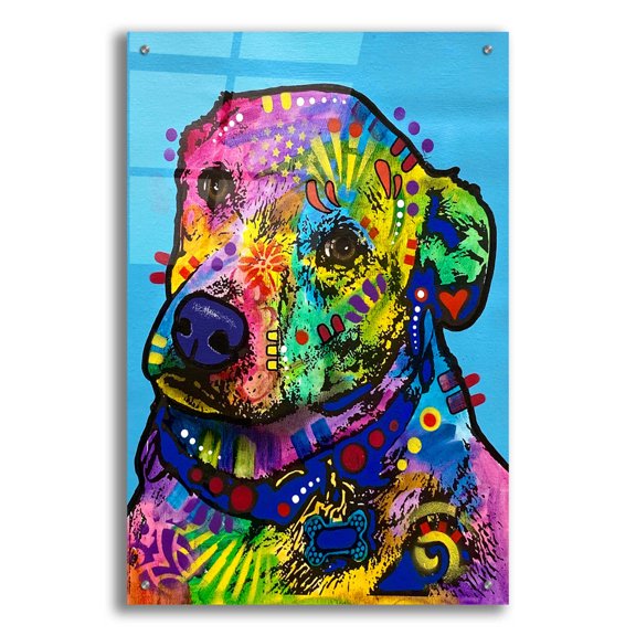 Epic Art 'Heckin Excited' by Dean Russo, Acrylic Glass Wall Art, 24"x36"