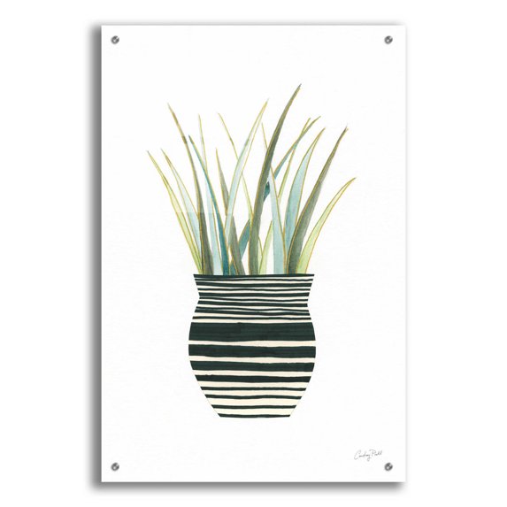 Epic Art 'Herb Garden II by Courtney Prahl, Acrylic Glass Wall Art, 24"x36"