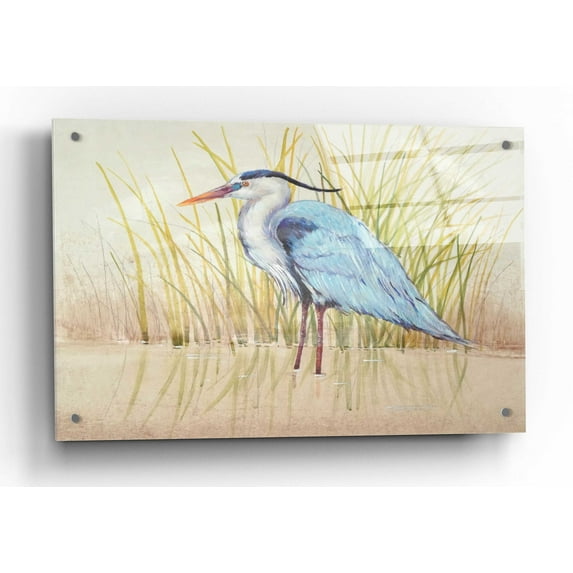Epic Art 'Heron & Reeds II' by Tim O'Toole, Acrylic Glass Wall Art, 36"x24"