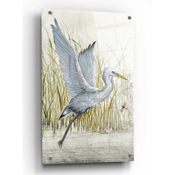 Epic Art 'Heron Sanctuary I' by Tim O'Toole, Acrylic Glass Wall Art, 24"x36"