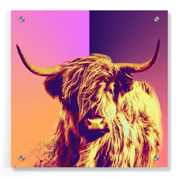 Epic Art 'Highland Cow Crush,' Acrylic Glass Wall Art, 36"x36"