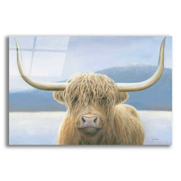 Epic Art 'Highland Cow' by James Wiens, Acrylic Glass Wall Art, 16"x12"
