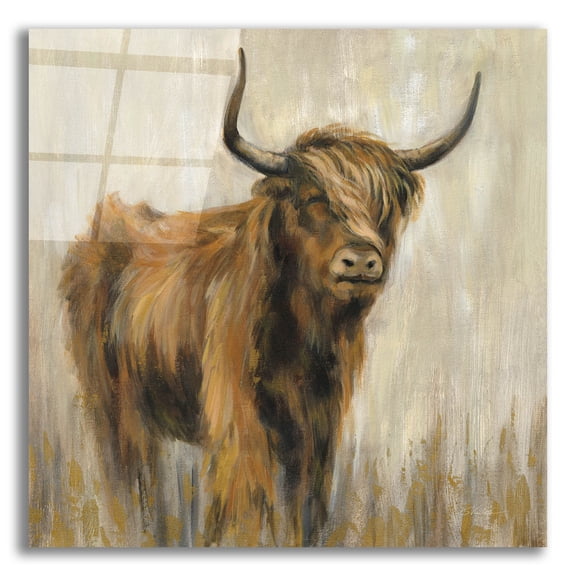 Epic Art 'Highland Mountain Cow' by Silvia Vassileva, Acrylic Glass Wall Art, 12"x12"