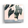 thumbnail image 1 of Epic Art 'Houseplant II' by Victoria Borges Acrylic Glass Wall Art, 24"x24", 1 of 3