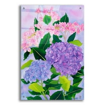 Epic Art 'Hydrangea Wonder' by Carissa Luminess, Acrylic Glass Wall Art, 24"x36"