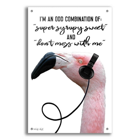 Epic Art 'I'm an Odd Combination' by Cindy Jacobs, Acrylic Glass Wall Art, 24"x36"