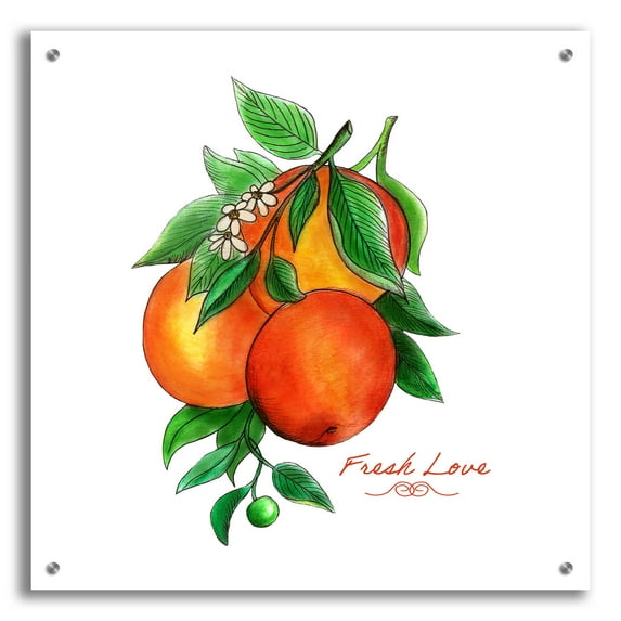 Epic Art 'Illuminating Oranges And Phrase' by Sabrina Balbuena, Acrylic Glass Wall Art, 24"x24"