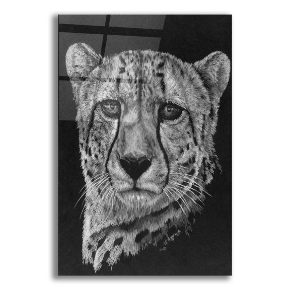 Epic Art 'Impressive' by Barbara Keith, Acrylic Glass Wall Art, 12"x16"