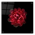 thumbnail image 1 of Epic Art 'In Red' by Photoinc Studio, Acrylic Glass Wall Art, 24"x24", 1 of 1