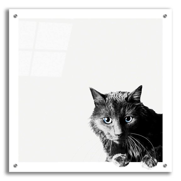 Epic Art 'Inquisitive' by Jon Bertelli Acrylic Glass Wall Art, 24"x24"