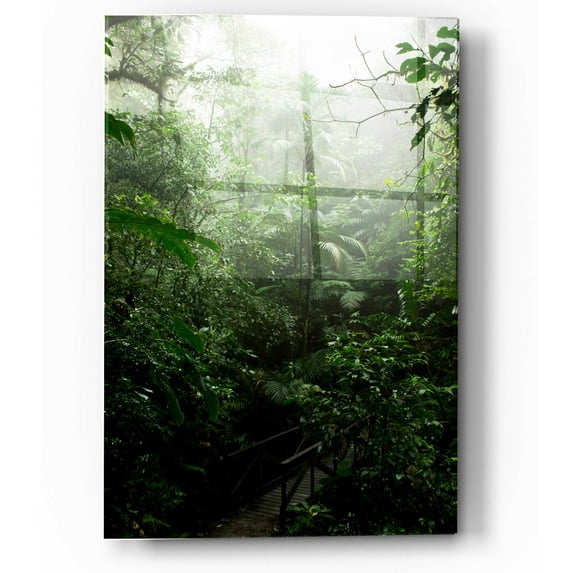 Epic Art 'Into The Cloud Forest' by Nicklas Gustafsson Acrylic Glass Wall Art, 12"x16"