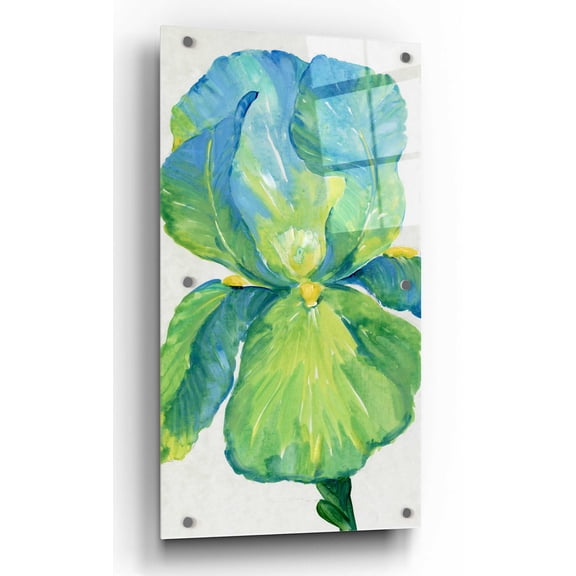 Epic Art 'Iris Bloom in Green I' by Tim O'Toole, Acrylic Glass Wall Art, 12"x24"