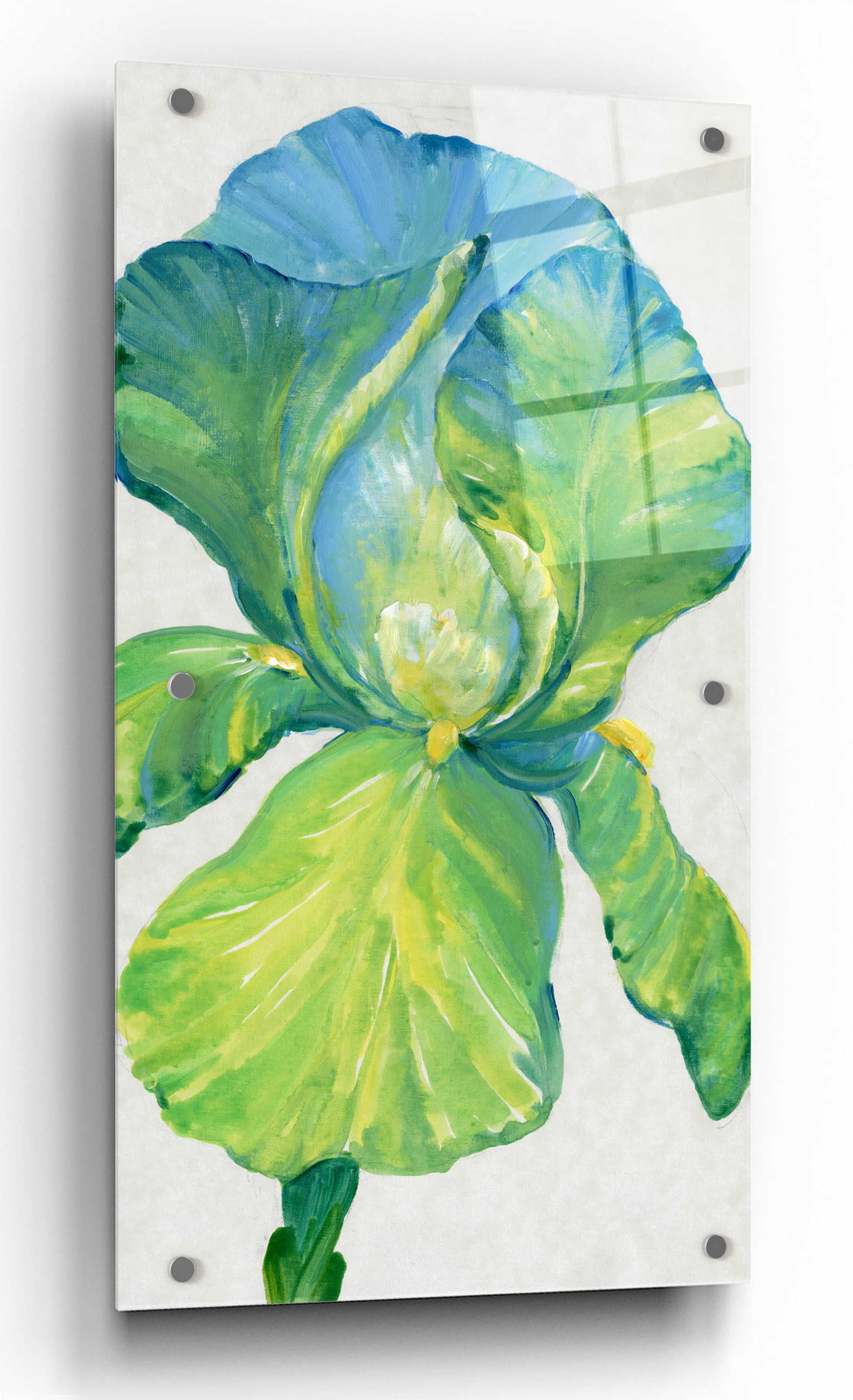 Green and Blue Iris Bloom Acrylic Wall Art, 12" x 24"