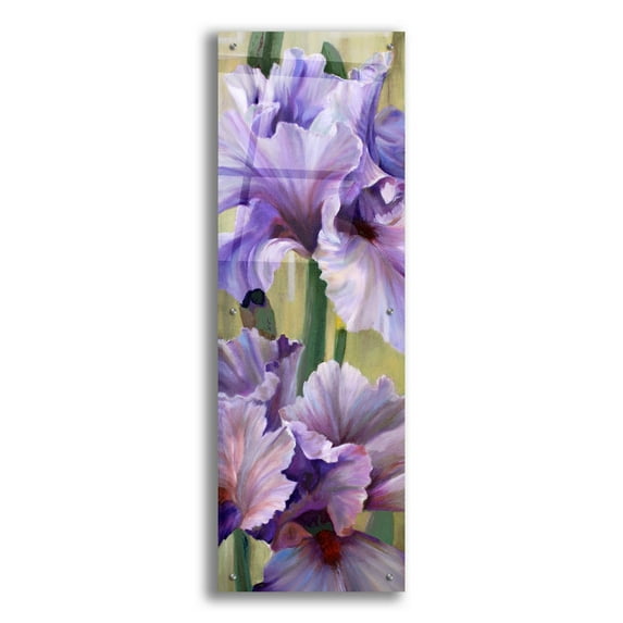 Epic Art 'Iris I' by Jan Mclaughlin, Acrylic Glass Wall Art, 16"x48"
