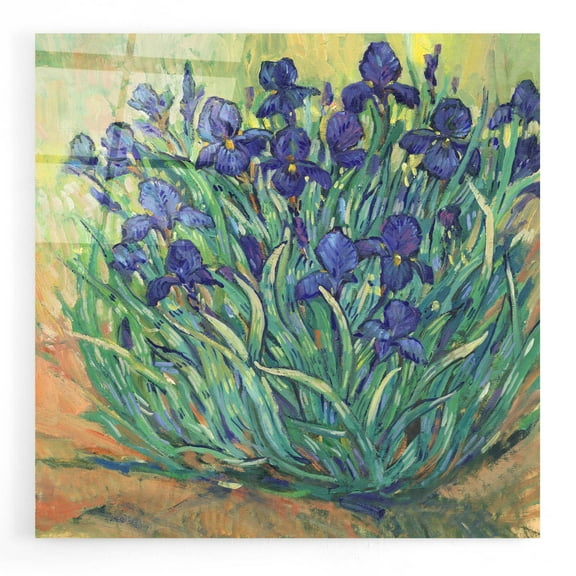 Epic Art 'Irises in Bloom I' by Tim O'Toole, Acrylic Glass Wall Art, 24"x24"