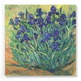 thumbnail image 1 of Epic Art 'Irises in Bloom I' by Tim O'Toole, Acrylic Glass Wall Art, 36"x36", 1 of 6