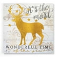 thumbnail image 1 of Epic Art 'It's the Most Wonderful Time Deer' by Cindy Jacobs, Acrylic Glass Wall Art, 24"x24", 1 of 5
