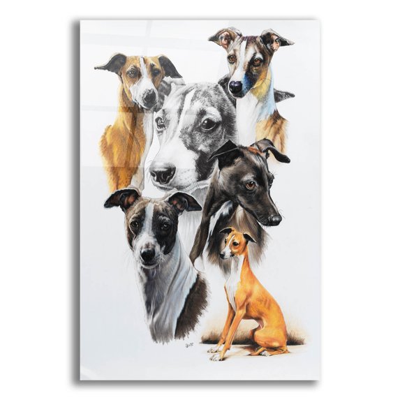 Epic Art 'Italian Greyhound Medley' by Barbara Keith, Acrylic Glass Wall Art, 12"x16"
