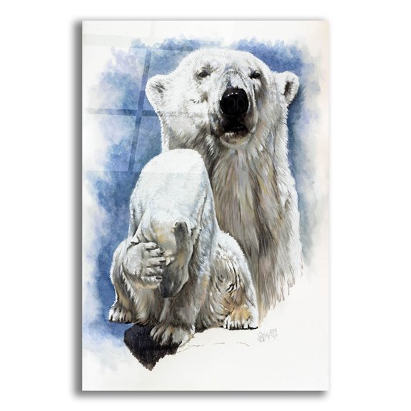 Epic Art 'Ivory' by Barbara Keith, Acrylic Glass Wall Art, 16"x24"