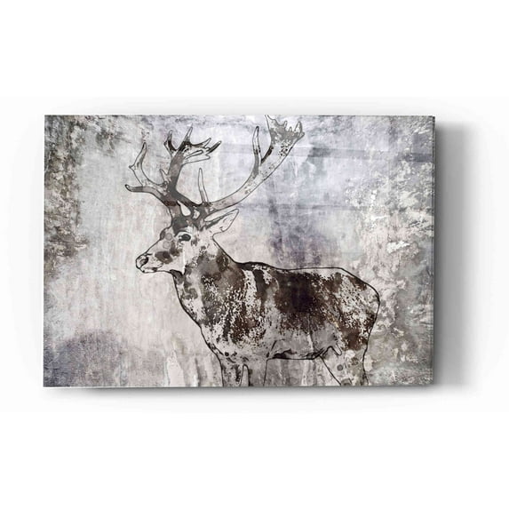 Epic Art 'Javan Rusa' by Irena Orlov, Acrylic Glass Wall Art, 16"x24"