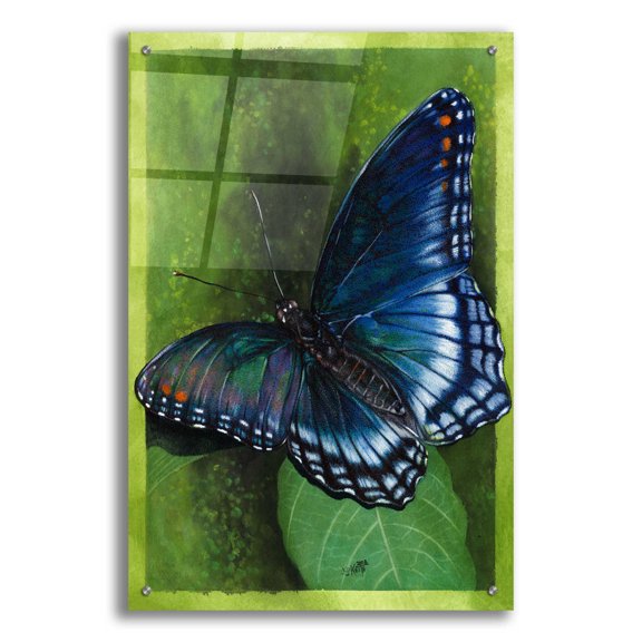 Epic Art 'Jewel Tones' by Barbara Keith, Acrylic Glass Wall Art, 24"x36"