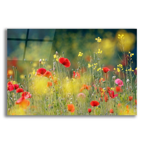 Epic Art ' Just a Perfect Day' by Roeselien Raimond, Acrylic Glass Wall Art, 24"x16"