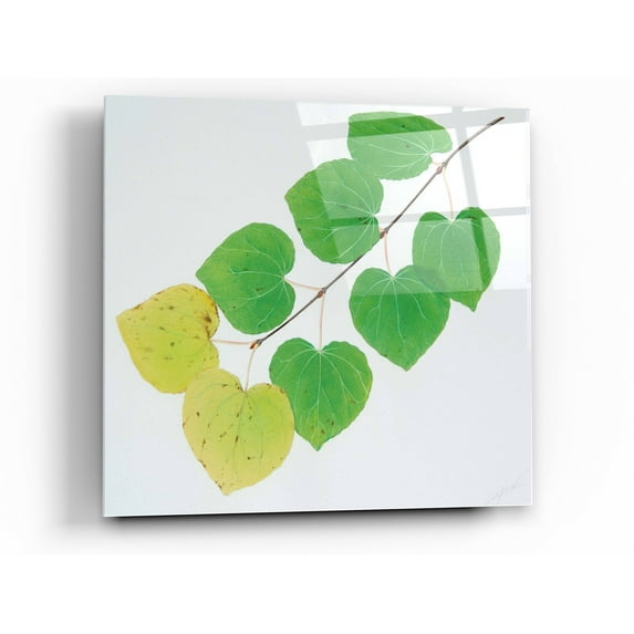 Epic Art 'Katura' by Zigen Tanabe, Acrylic Glass Wall Art, 36"x36"