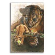 Epic Art 'Kinkajou' by Barbara Keith, Acrylic Glass Wall Art, 16"x24"